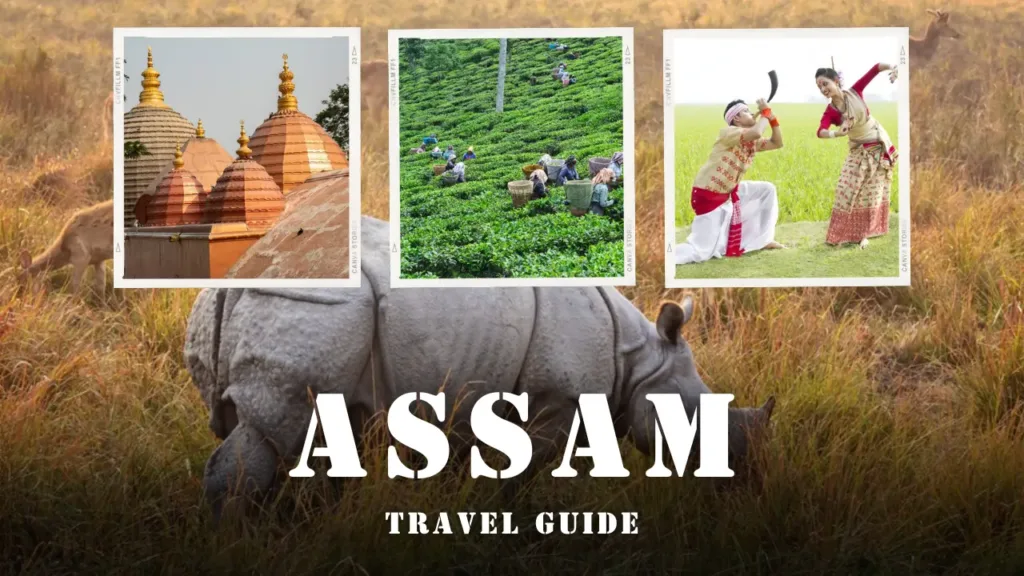 Unraveling the Marvels of Assam: A Comprehensive Expedition Guide for All Wanderers