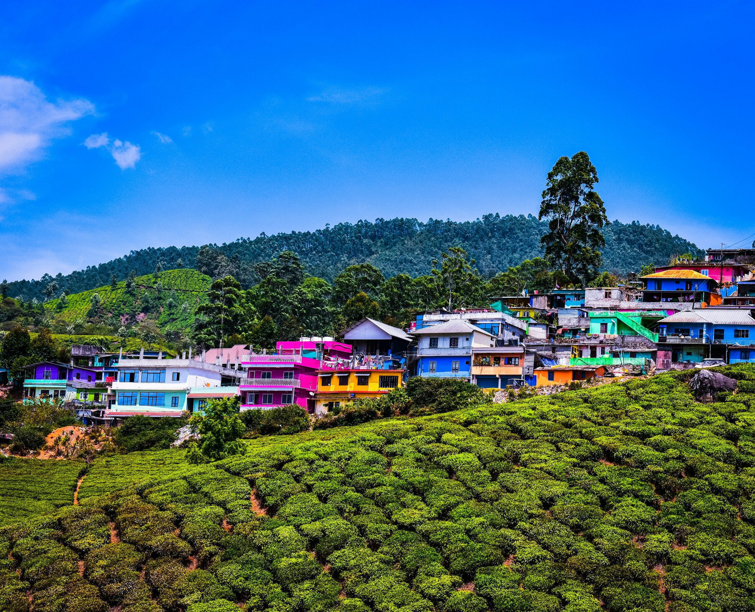 Munnar kerala india xplro