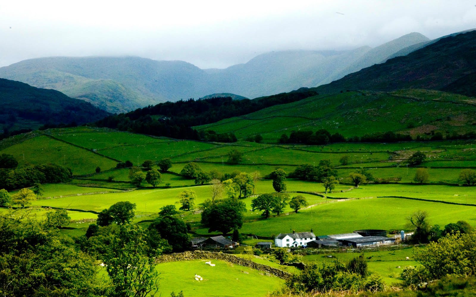 Ziro Valley, Arunachal Pradesh