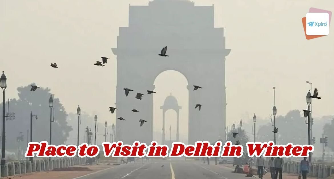 Place to Visit in Delhi in Winter