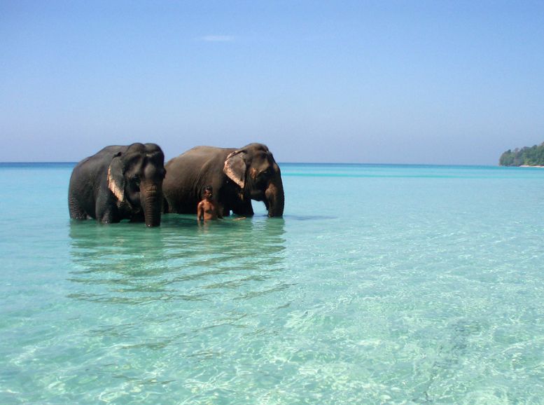 Elephant Beach (Havelock Island)