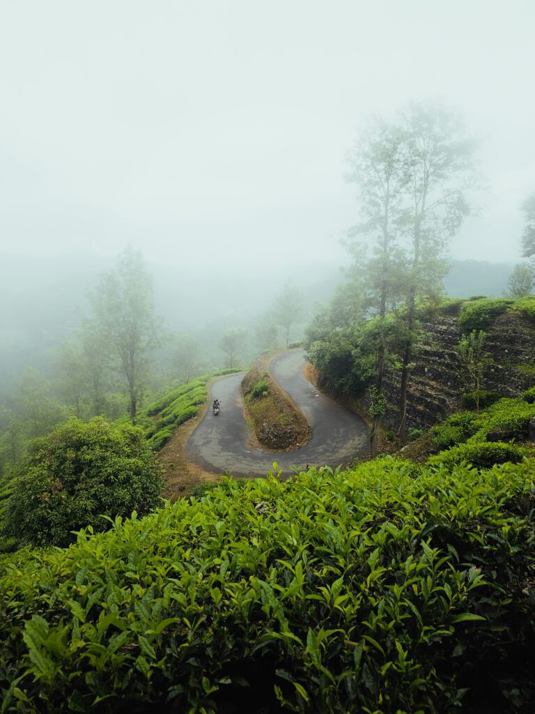 chembra peak, Xplro