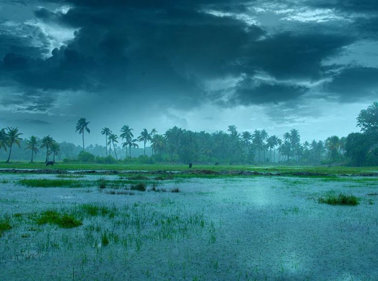 monsoon in kerala