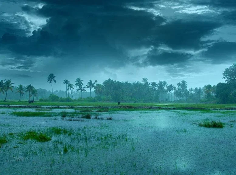 monsoon in kerala