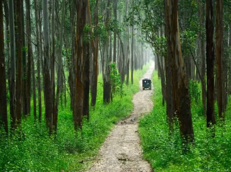 Winter (December-February) kerala