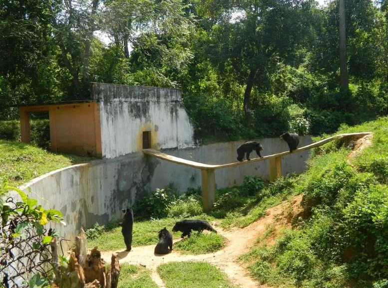Sepahijala Wildlife Sanctuary