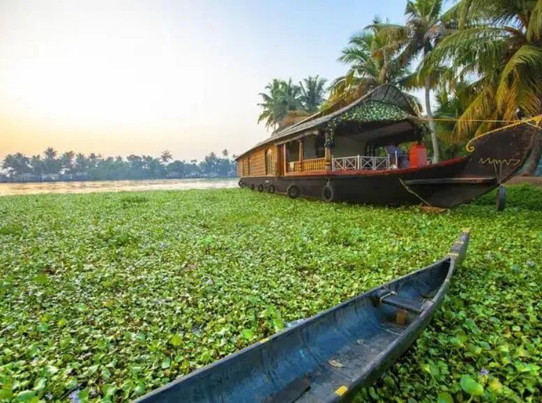 Summer (March-May) kerala