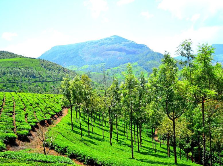 munnar, Places to visit in Kerala