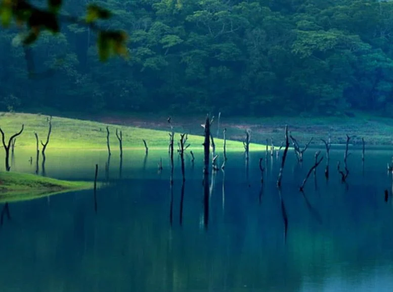Thekkady