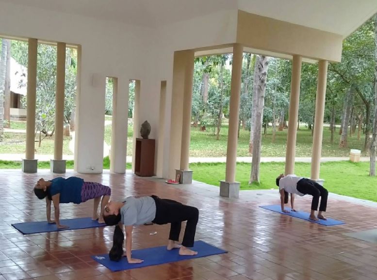 Yoga and Wellness Retreats karnataka