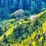 Ranikhet Uncovered Your Complete Travel Handbook