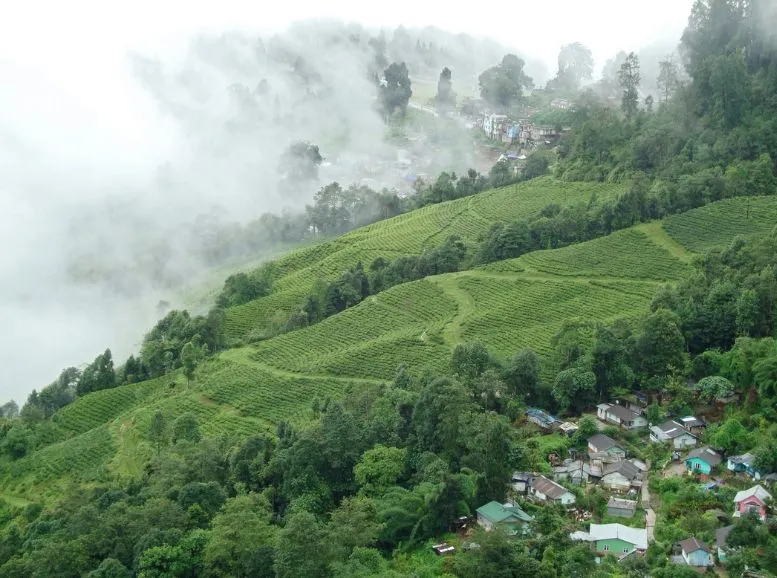 Darjeeling