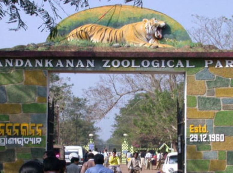 Nandankanan Zoological Park, odisha