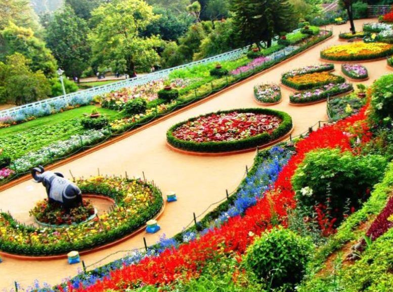 Rose Garden, Chandigarh
