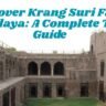 Exploring Firoz Shah Palace Complex: A best Historic Gem