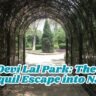 Tau Devi Lal Park: The Best Tranquil Escape into Nature
