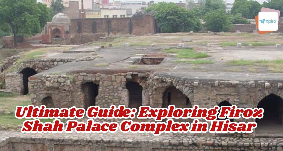 Ultimate Guide: Exploring Firoz Shah Palace Complex in Hisar
