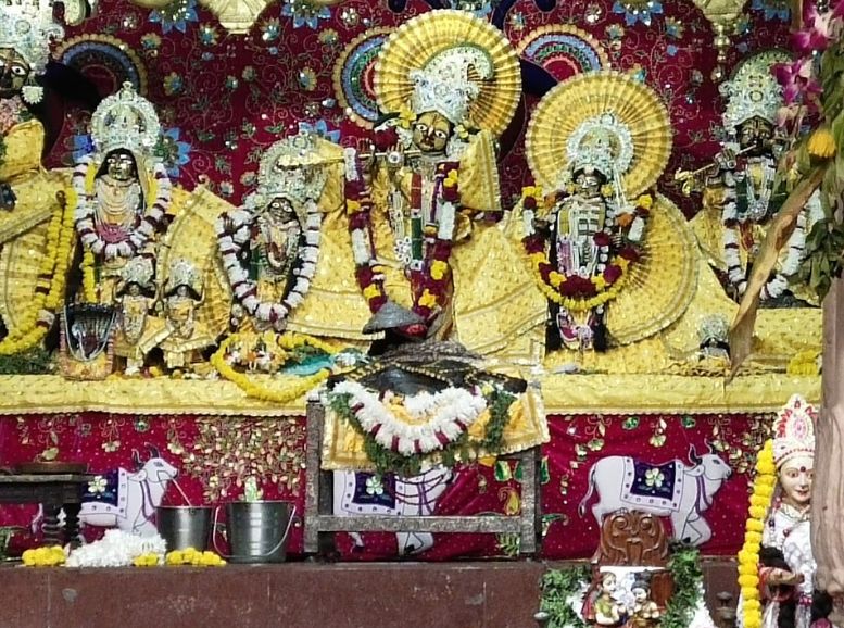 Radha Damodar Temple, Vrindavan, Xplro