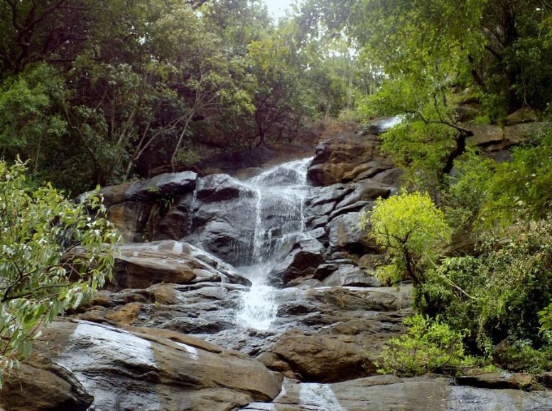 Killiyur Falls, Yercaud, Tamil Nadu, Xplro