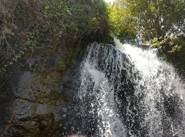 Agasthiyar Falls, Tirunelveli, Xplro