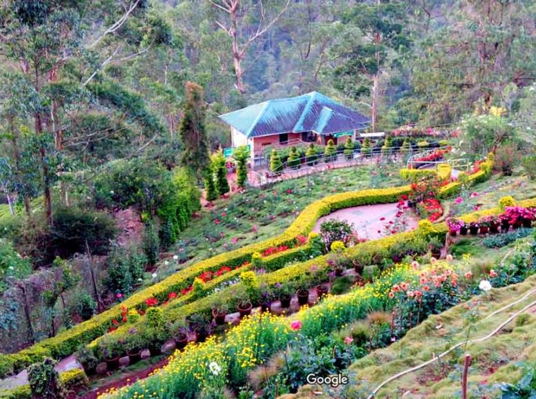 Rose Gardens, Munnar, Xplro, kerala