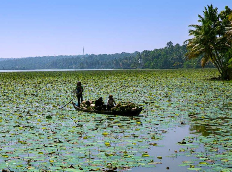 Vellayani Lake, Kovalam, Xplro, Kerala