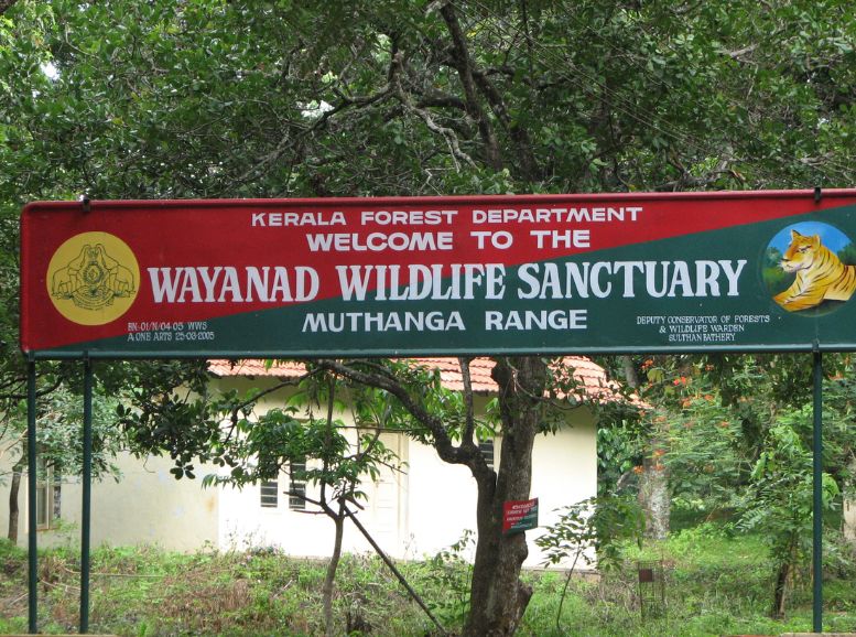 Wayanad Wildlife Sanctuary, Xplro, Kerala
