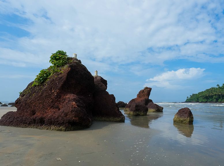 Dharmadam Island, Kannur, Kerala, Xplro