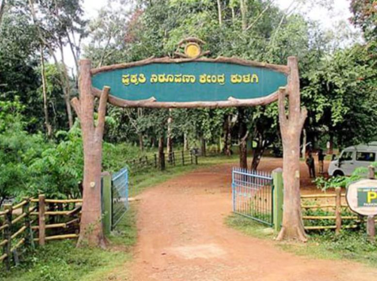 Anshi National Park Karwar, Xplro, Karnataka