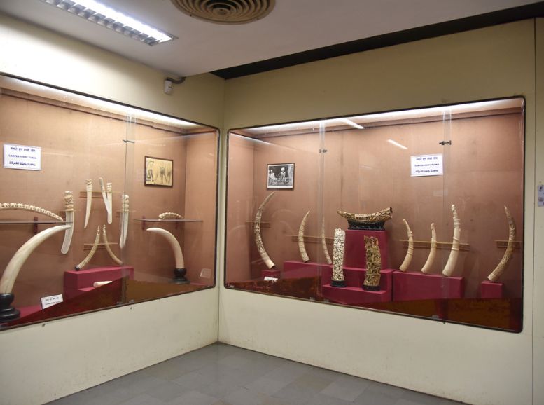 Ivory and Jade Collection Salar Jung Museum in Hyderabad, Xplro, Telangana