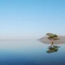 Pakhal-Lake-Exploring-Best-Serenity-by-the-Shores