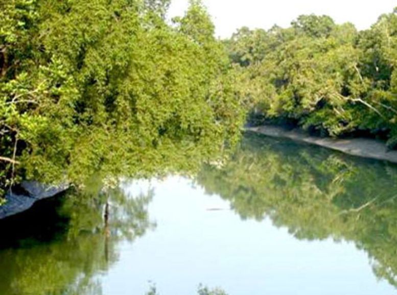 Hiron Point Sundarban National Park, xplro, West Bengal