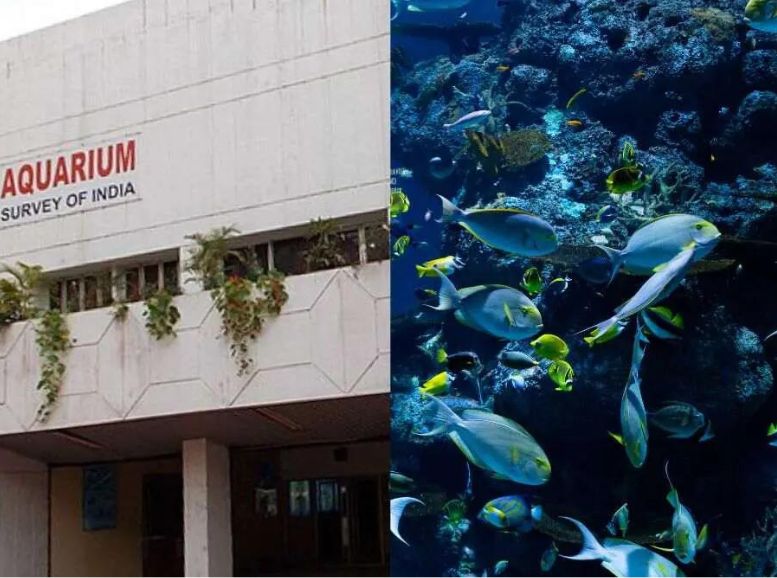 Marine Aquarium and Research Centre west bengal, Xplro