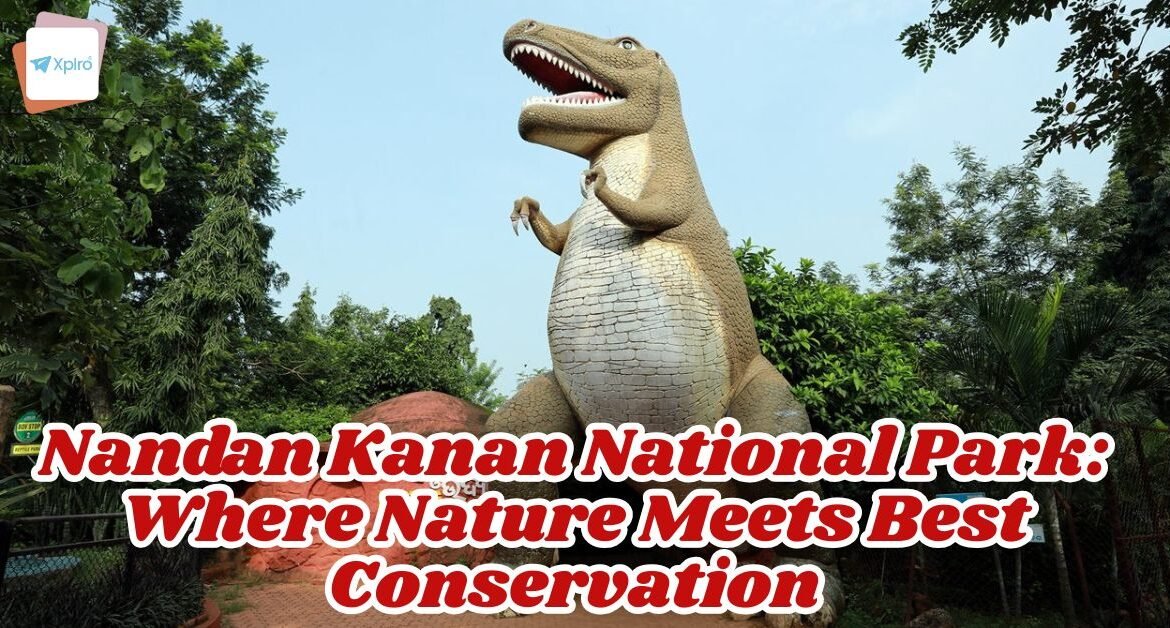 Nandan Kanan National Park: Where Nature Meets Best Conservation