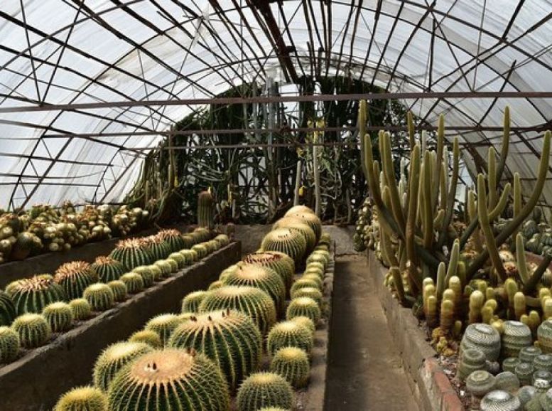 Cactus House Kolkata Botanical Garden, Xplro, West Bengal