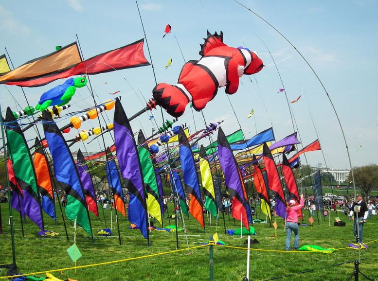 rann utsav kite festival rann of kutch, Xplro, Gujrat