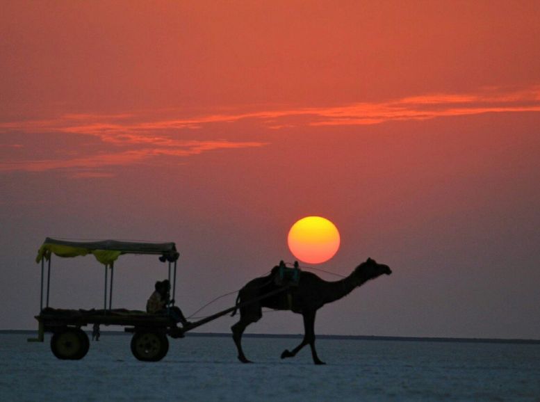 Sunset at the Rann rann of kutch