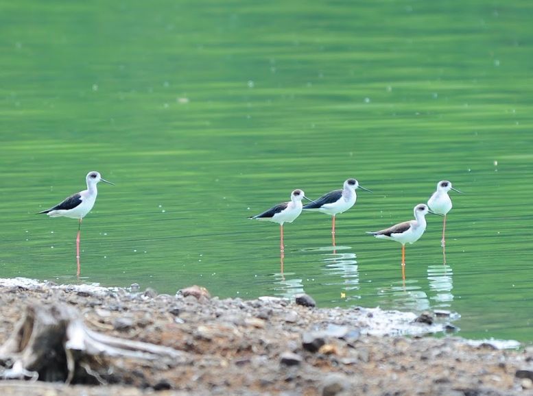 Lonar lake Birdwatching and Nature Walks, Xplro