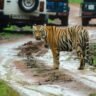 sanjay gandhi national park