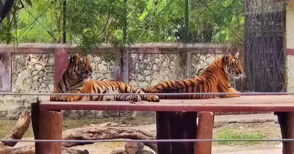 aurangabad Siddharth Garden and Zoo, Xplro