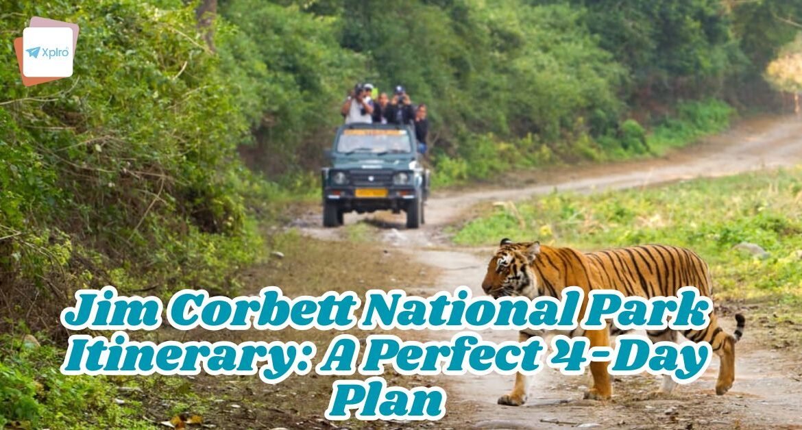 Jim Corbett National Park Itinerary: A Perfect 4-Day Plan