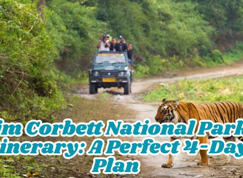 Jim Corbett National Park Itinerary: A Perfect 4-Day Plan
