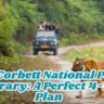 Jim Corbett National Park Itinerary: A Perfect 4-Day Plan