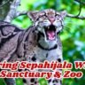 Exploring Sepahijala Wildlife Sanctuary & Zoo: A Natural Haven in Tripura