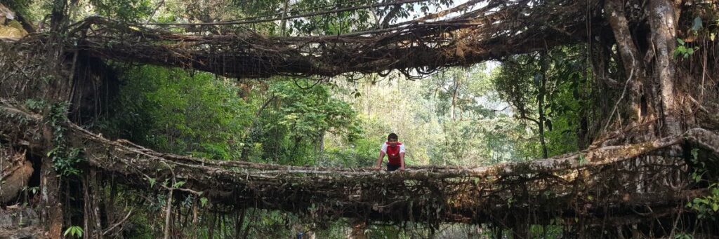 Double-Decker Living Root Bridge, Xplro