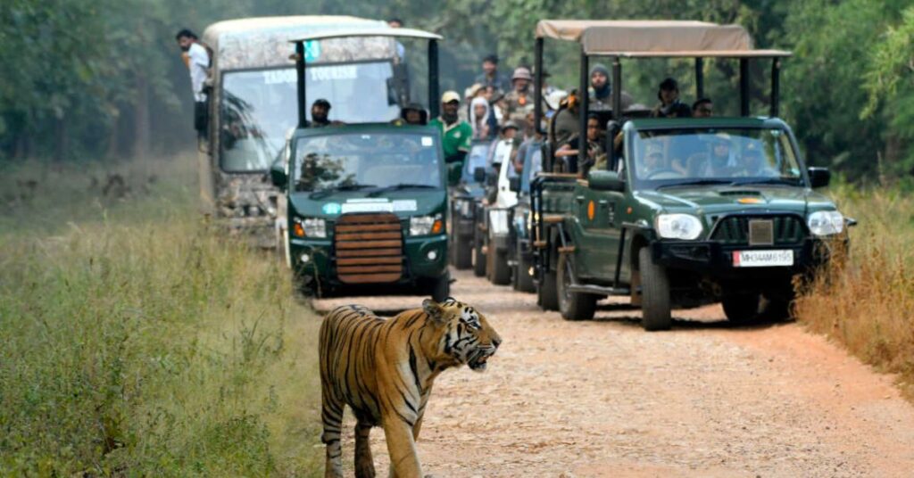 Pench National Park, Xplro