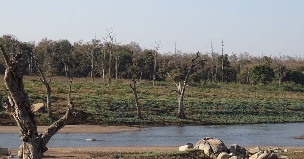 Pench River Pench National Park, Xplro