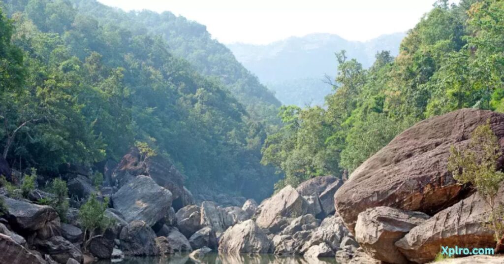 travel blogs in india satpura national park, Xplro, Madhya Pradesh