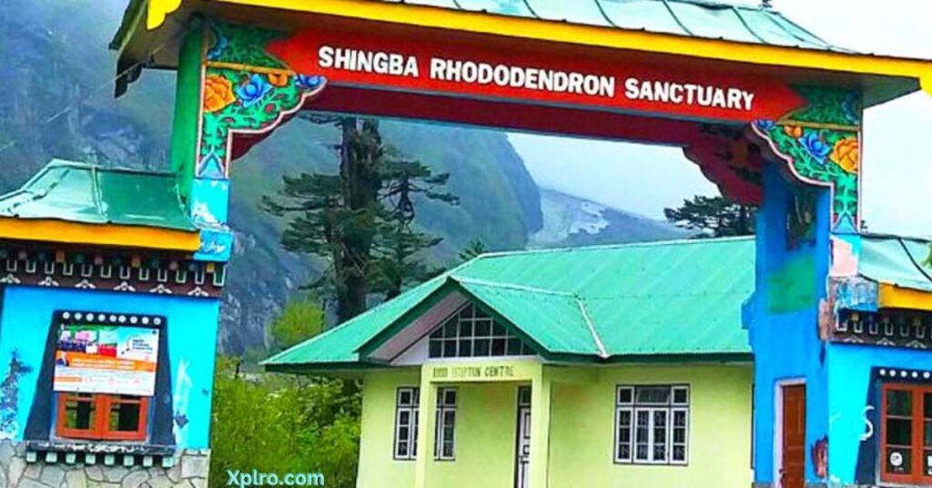 shingba rhododendron sanctuary sikkim, Xplro