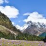 Yumthang Valley, Xplro